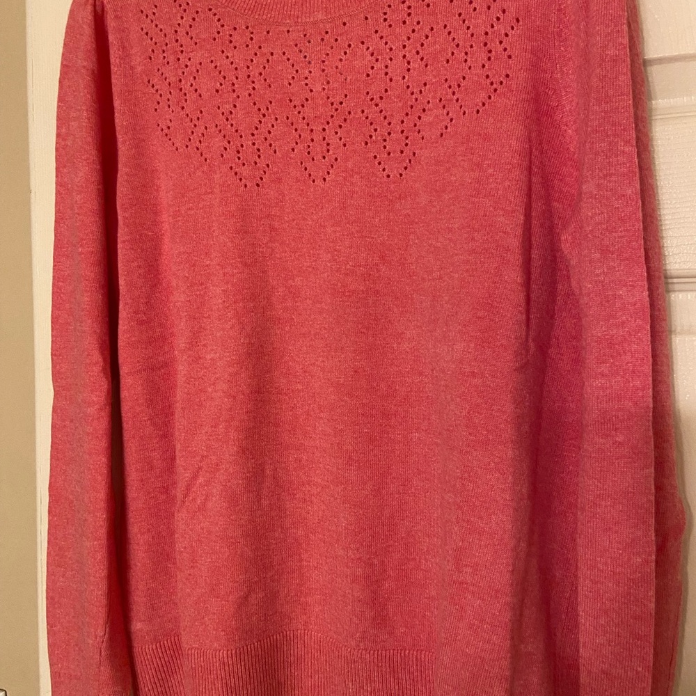 NWT LOFT Pink Crew Neck Sweater